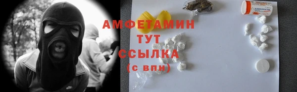 дмт Алексин