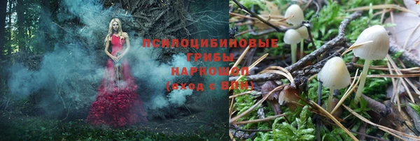 амф Алзамай