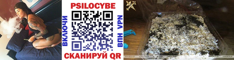 купить   Струнино  дарк нет наркотические препараты  Псилоцибиновые грибы Psilocybine cubensis 